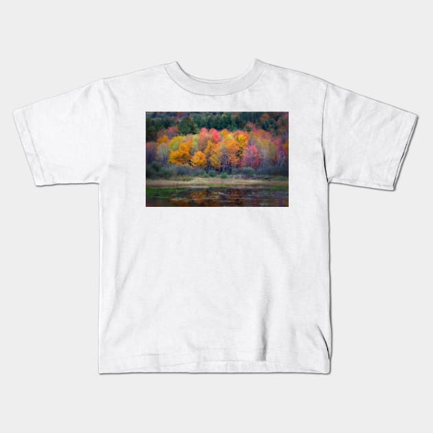 Burst of Fall Kids T-Shirt by jforno